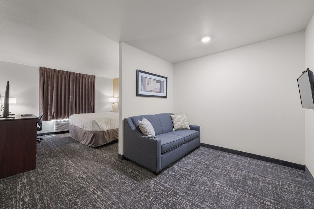 Studio Suite, 1 King Bed with Sofa bed, Non Smoking