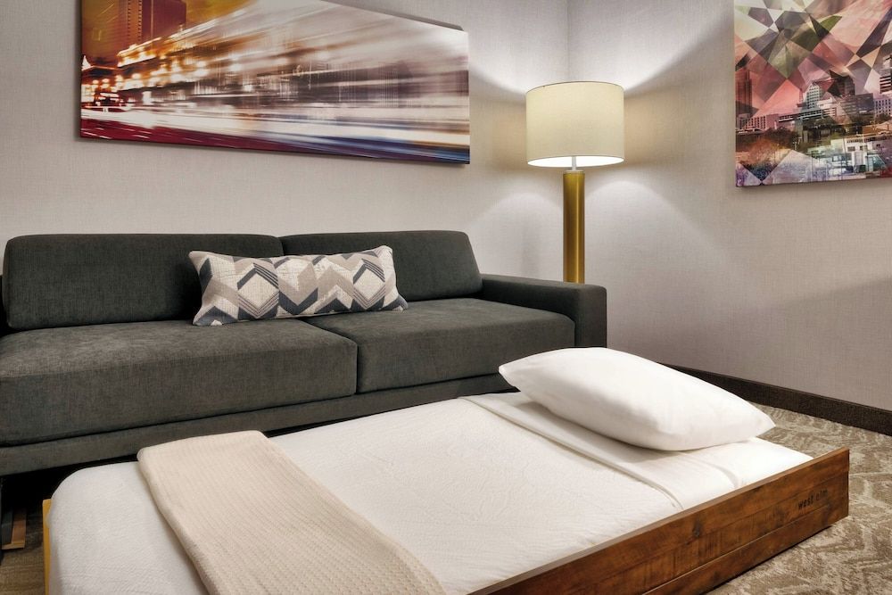 Suite, 1 King Bed with Sofa bed, Mountain View