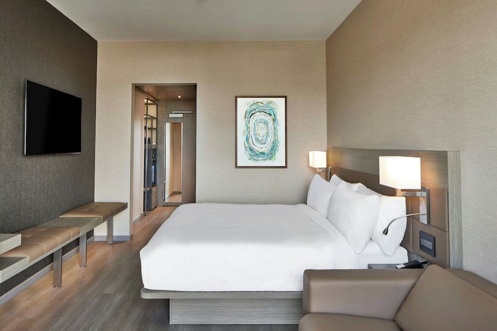 Room, 1 King Bed (Mobility Accessible, Roll-In Shower)