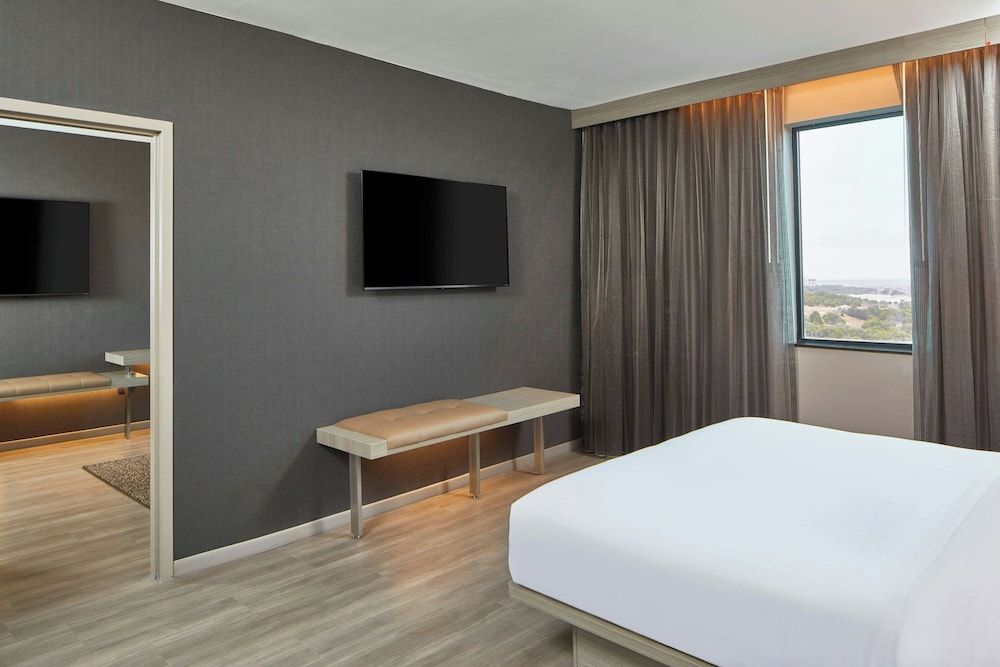 Suite, 1 King Bed with Sofa bed, Valley View