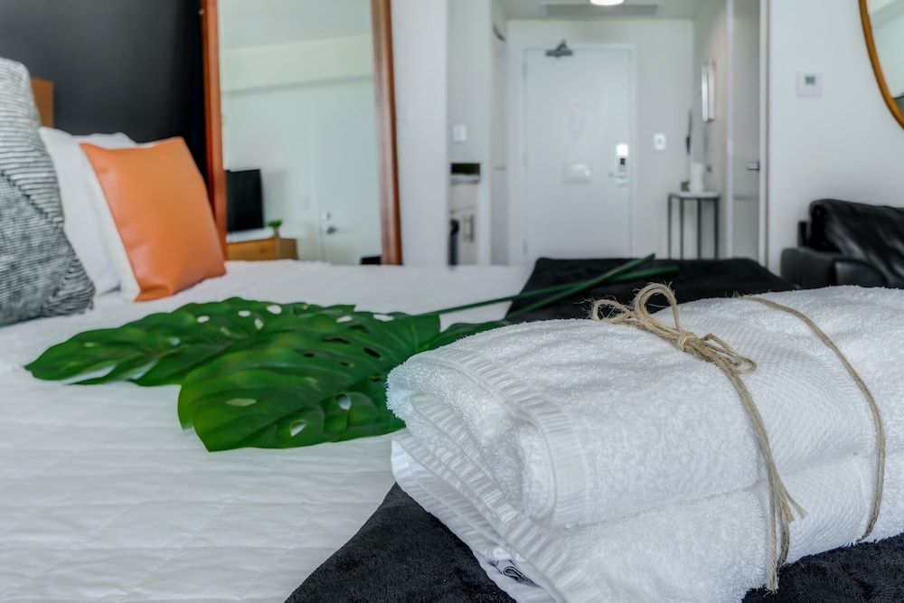 iCoconutGrove Vacation Rentals Beautiful City View Room in Coconut Grove ( NO BALCONY OR KITCHEN) 6