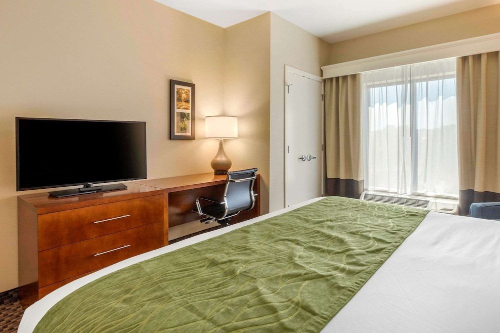Standard Room, 1 King Bed, Non Smoking