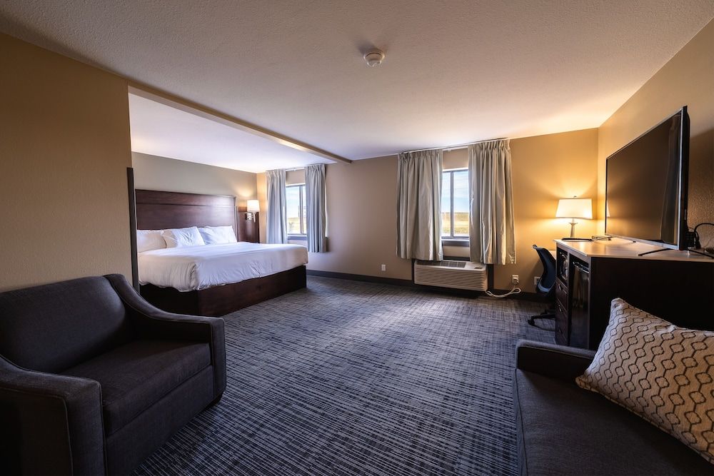 Studio Suite, 1 King Bed with Sofa bed, Non Smoking