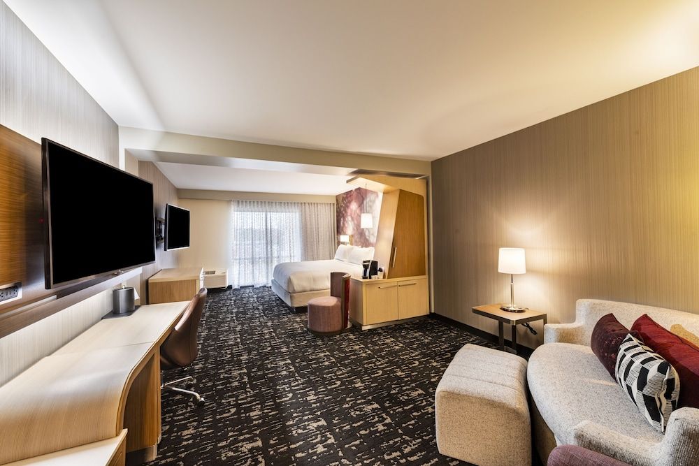 Suite, 1 King Bed with Sofa bed