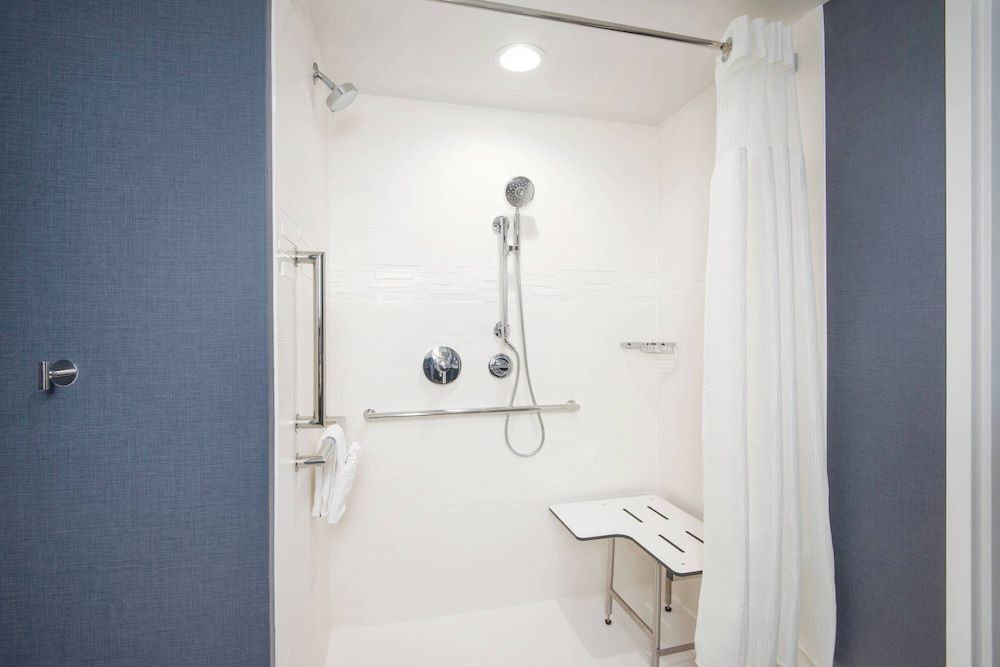 Studio, 1 King Bed with Sofa bed, Non Smoking (Mobility/Hearing Access, Roll-in Shwr)