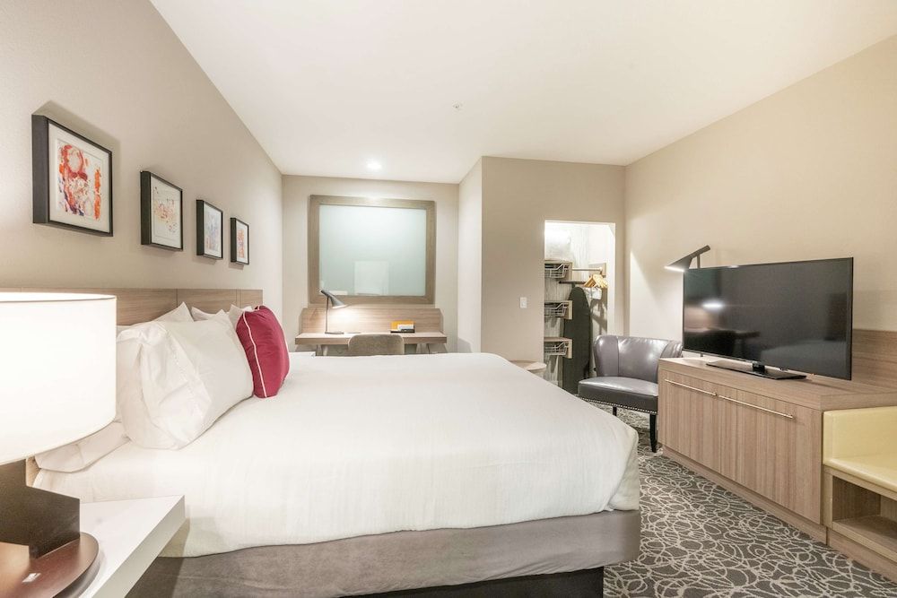 Room, 1 King Bed