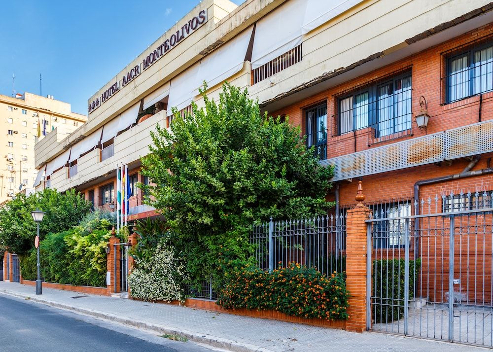 undefined Hotel AACR Monteolivos 8