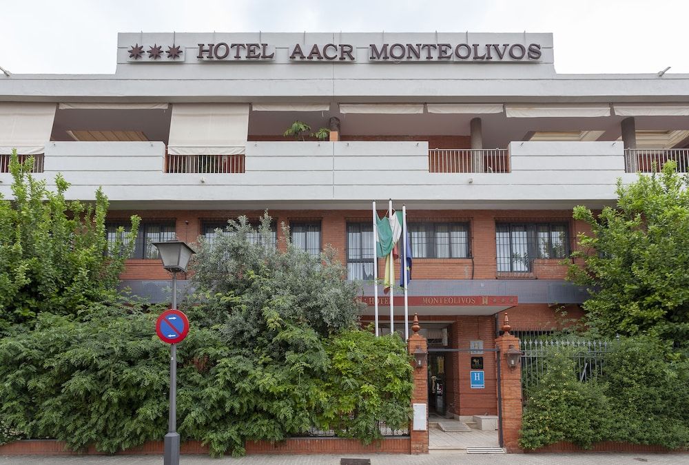undefined Hotel AACR Monteolivos 6