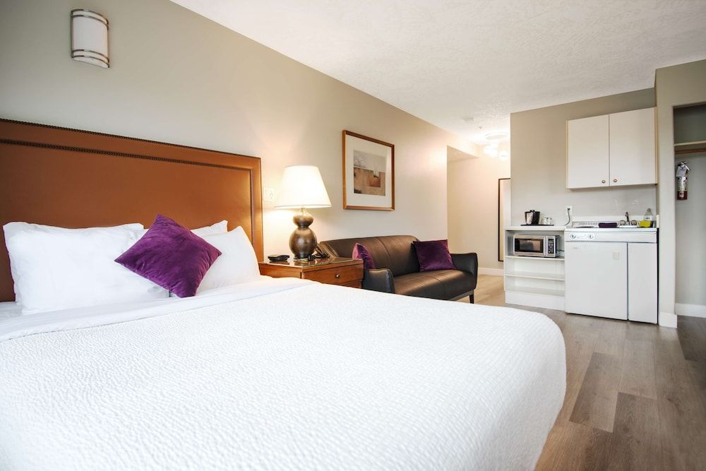 Studio Suite, 1 Queen Bed