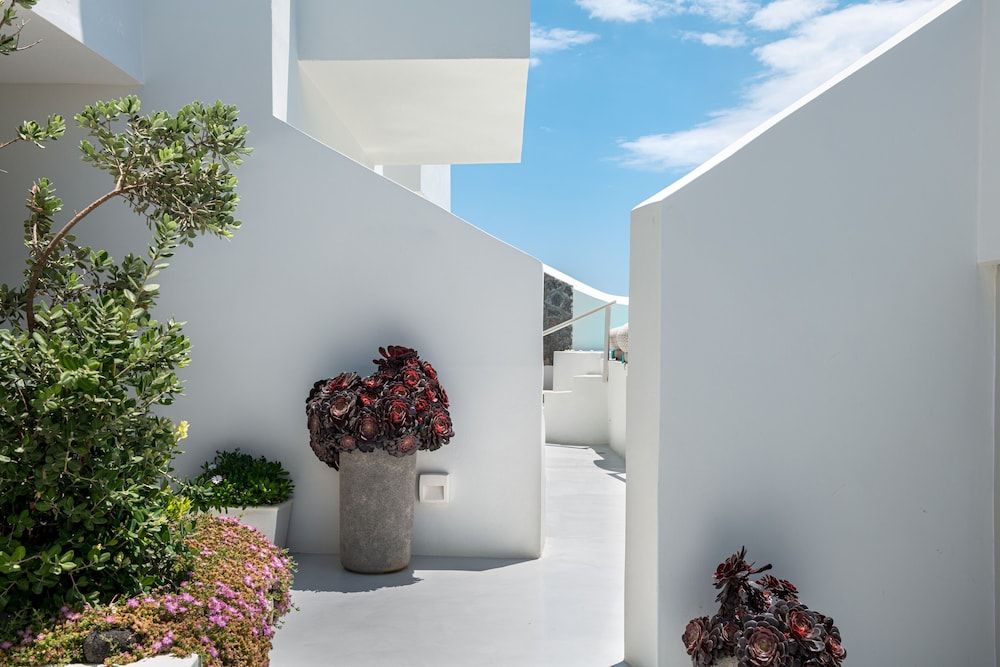 undefined Akra Suites & Spa 9
