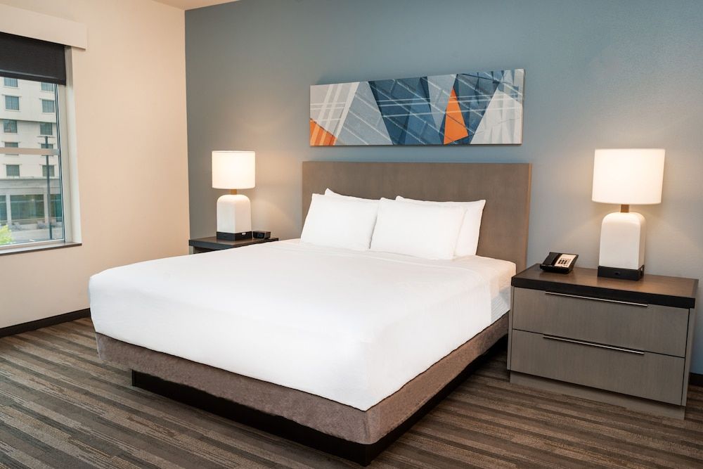 Room, 1 King Bed with Sofa bed, Accessible (Shower)