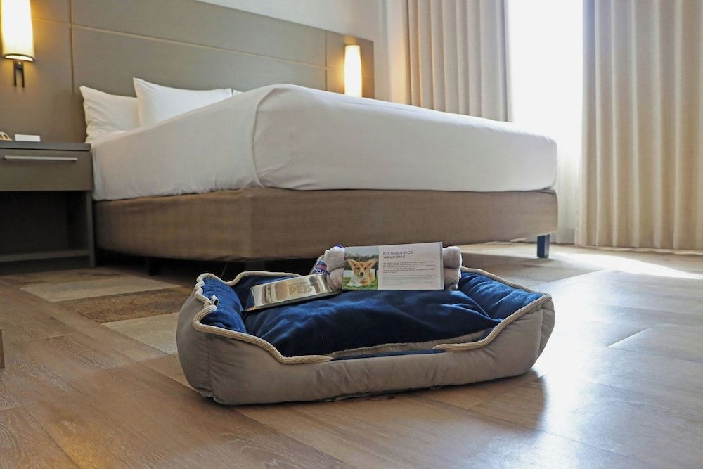 Residence Inn by Marriott Playa del Carmen Studio, 1 King Bed, Non Smoking 4