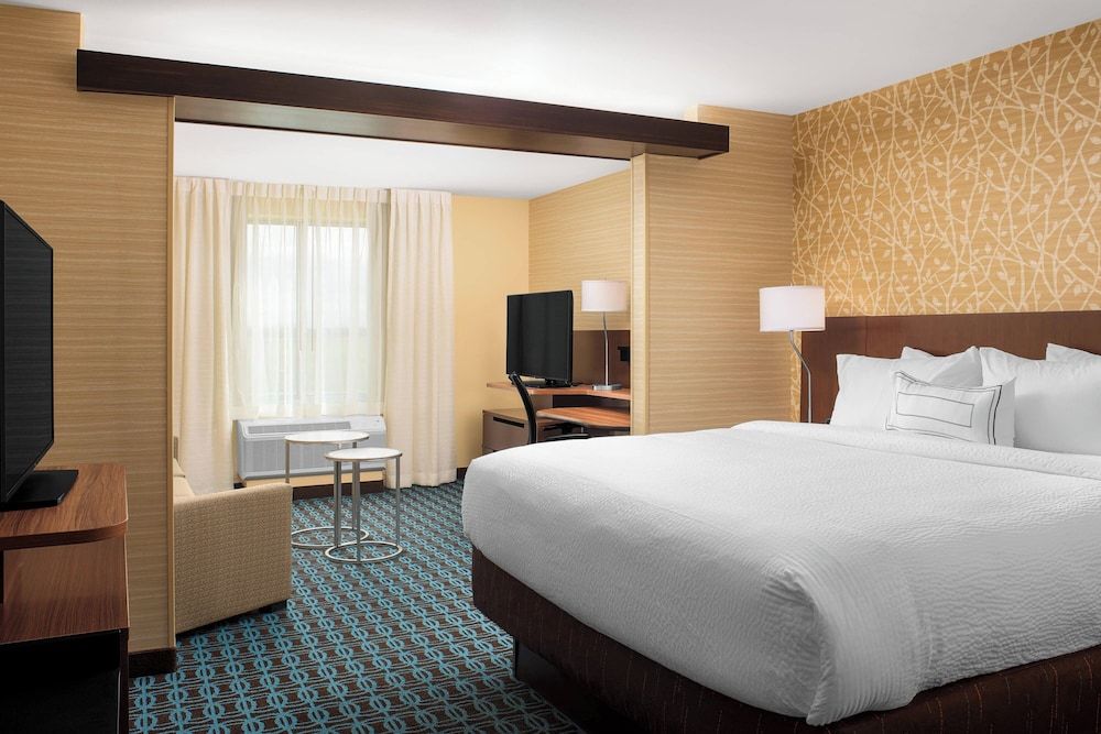 Suite, 1 King Bed with Sofa bed