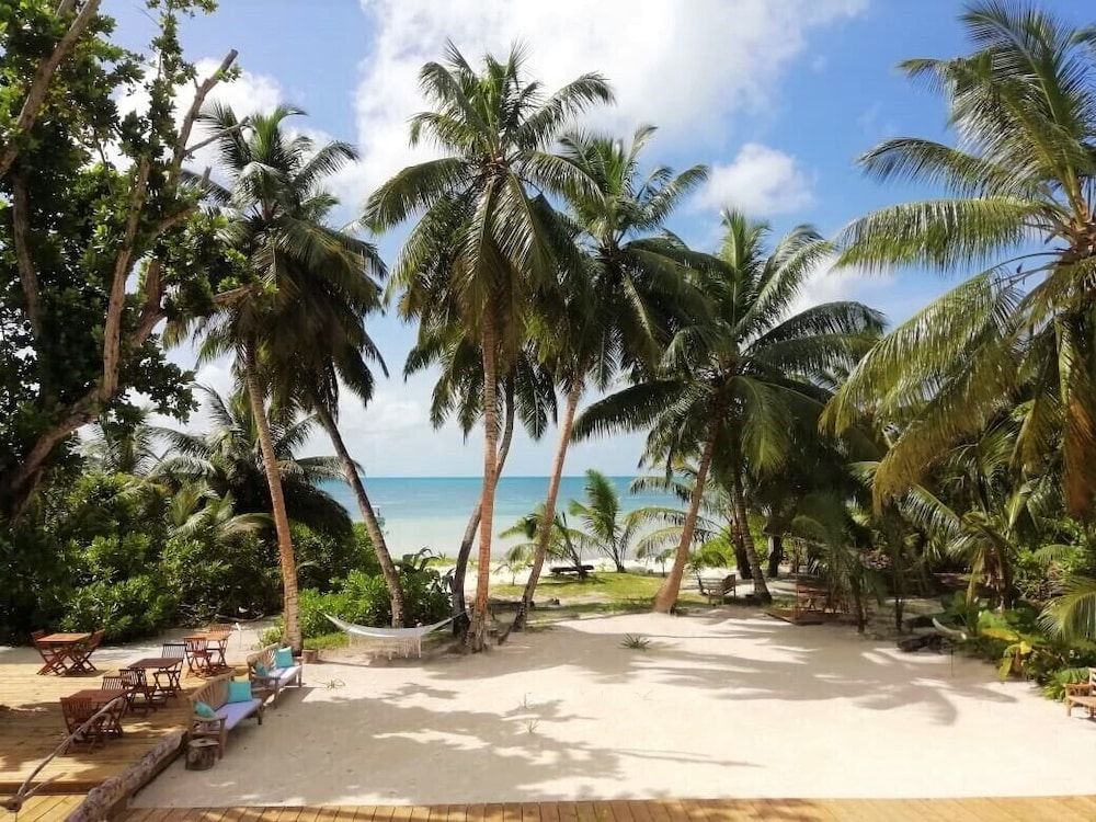 Bliss Hotel Praslin Panoramic Room, 1 Bedroom, Private Pool, Ocean View 4