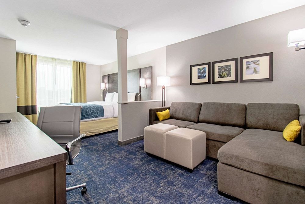 Suite, 1 King Bed with Sofa bed, Accessible, Non Smoking