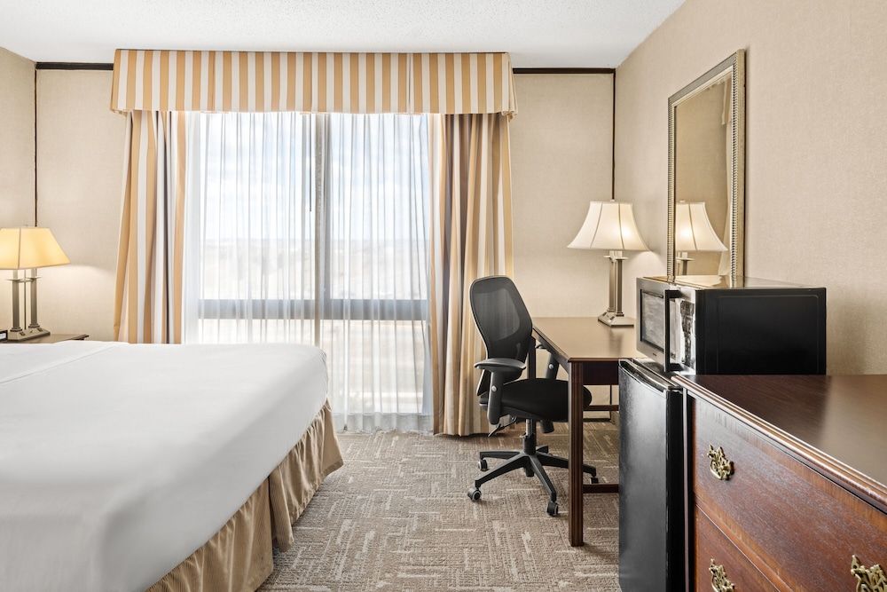 Deluxe Suite, 1 King Bed with Sofa bed