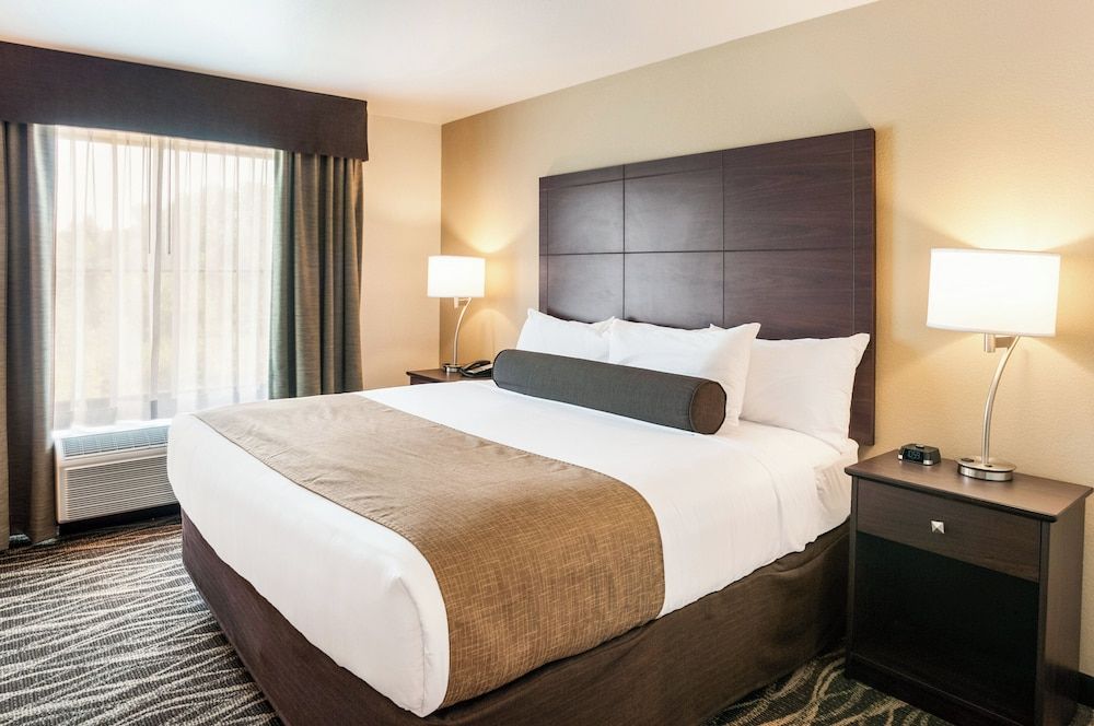 Room, 1 King Bed, Non Smoking