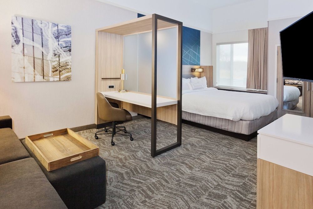 Suite, 1 King Bed with Sofa bed