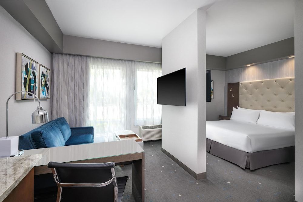 Suite, 1 King Bed, Accessible, Non Smoking (with Sofabed)