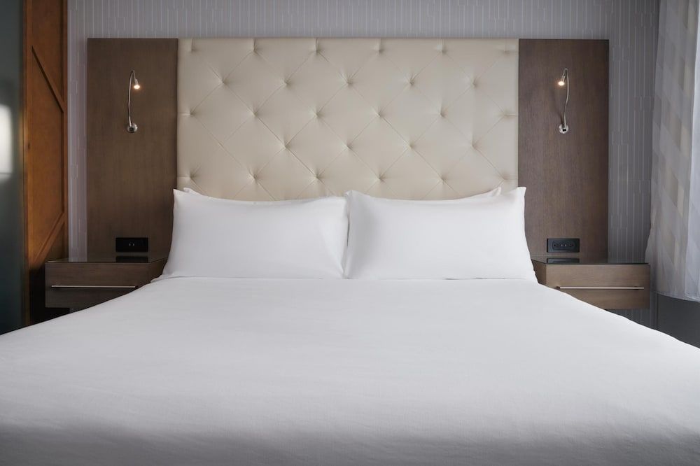 Standard Room, 1 King Bed, Accessible, Bathtub (with Sofabed)