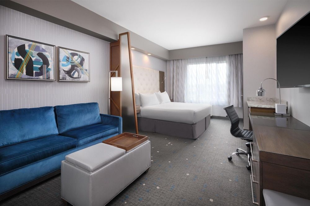 Standard Room, 1 King Bed, Accessible, Bathtub (with Sofabed)