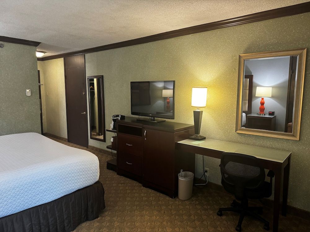 Wingate Houston near NRG Park/Medical Center Room, 1 King Bed, Non Smoking 5