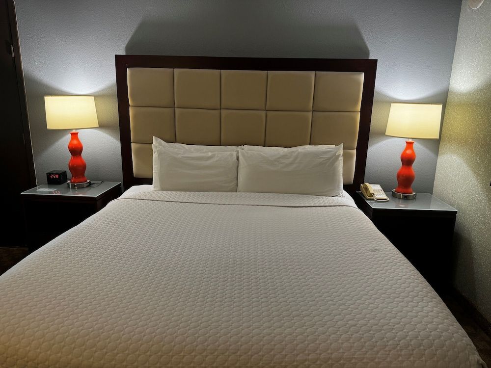 Wingate Houston near NRG Park/Medical Center Room, 1 King Bed, Non Smoking 6