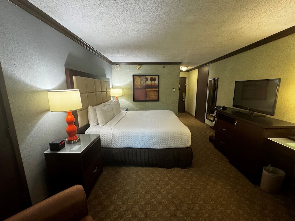 Wingate Houston near NRG Park/Medical Center Room, 1 King Bed, Non Smoking 7