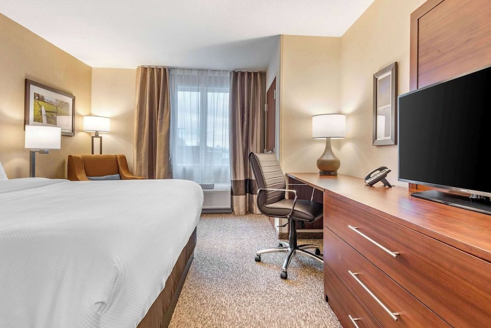 Comfort Inn & Suites Standard Room, 1 King Bed, Non Smoking 2