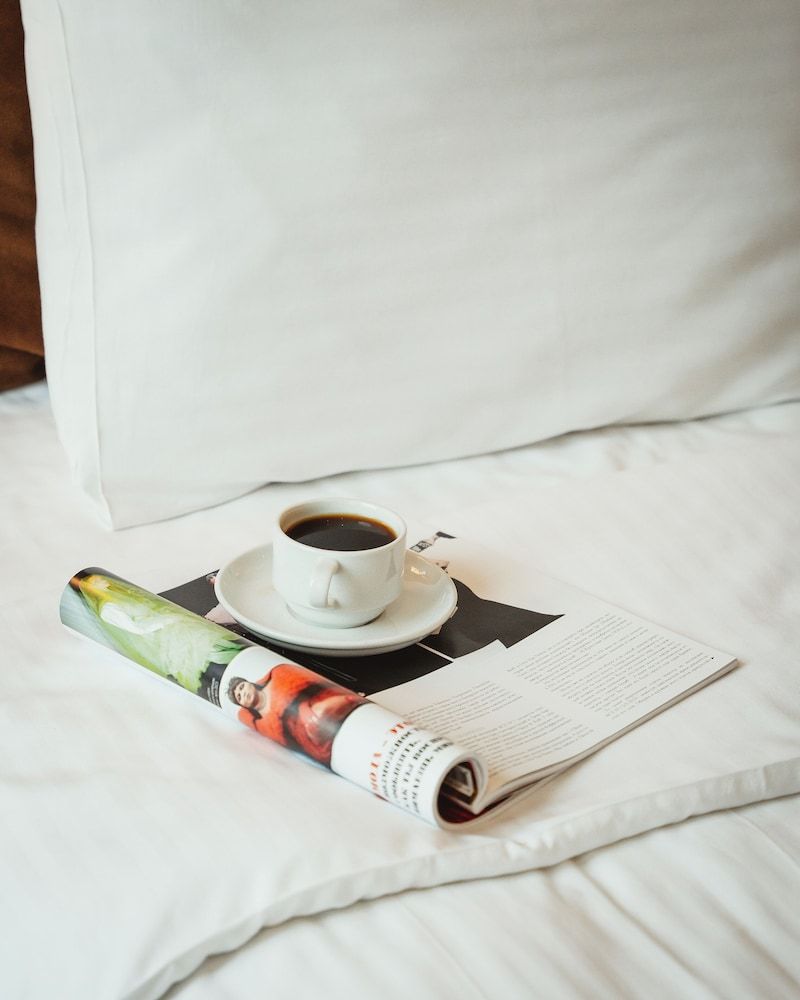 Diamond Hotel Baku Standard Double Room, 1 King Bed 21