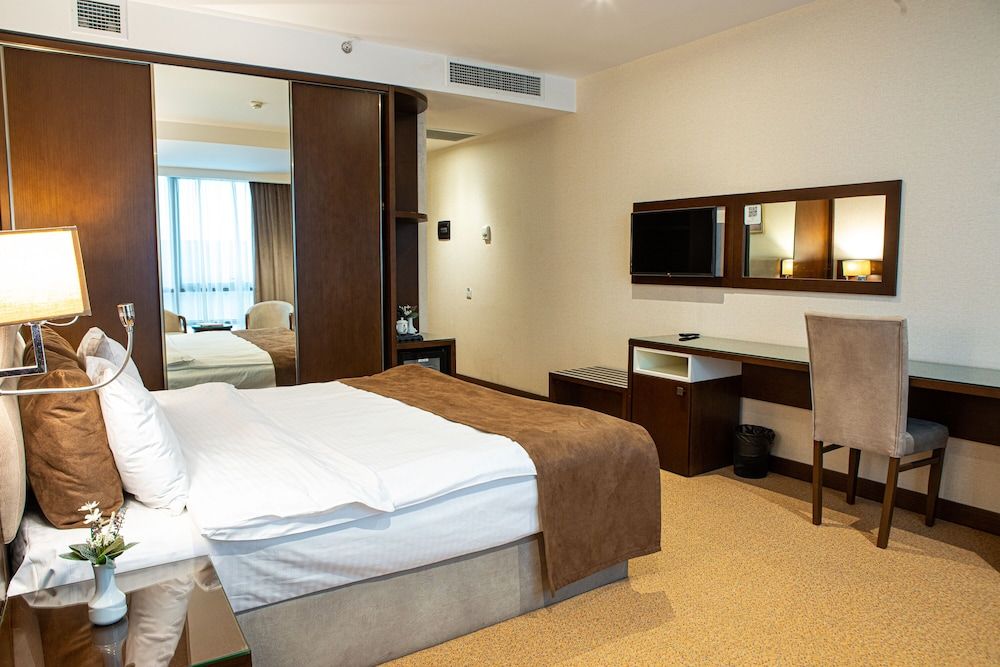 Diamond Hotel Baku Standard Double Room, 1 King Bed 8