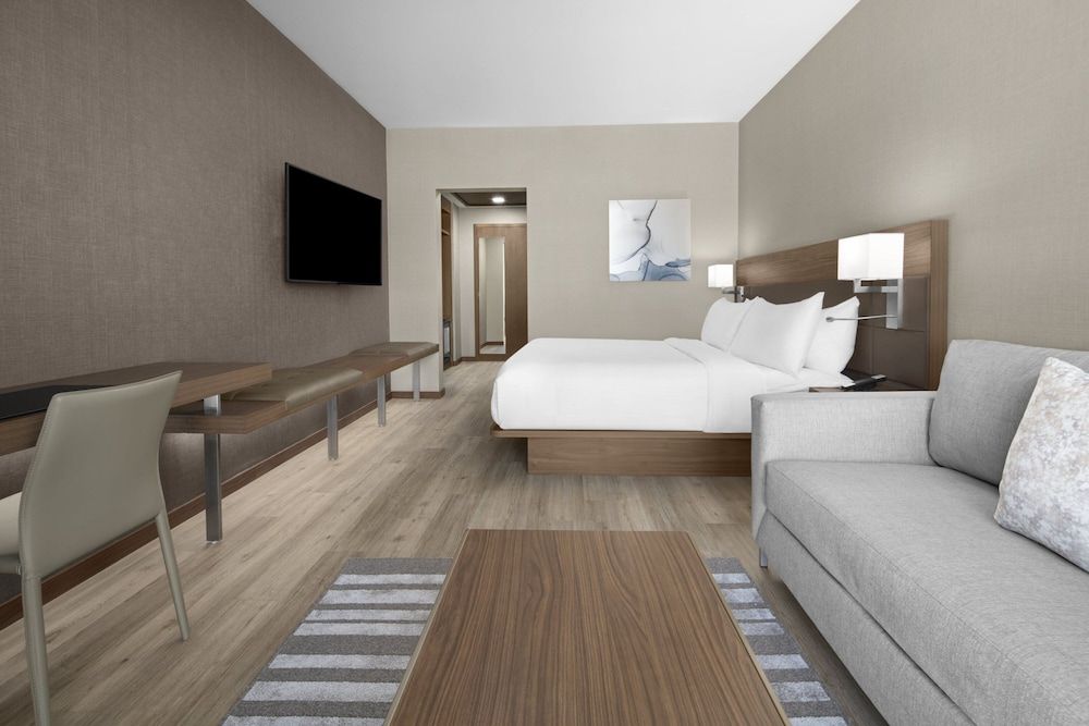 Room, 1 King Bed with Sofa bed (Mobility Accessible, Tub)
