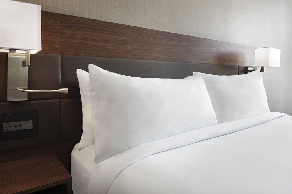 Room, 1 King Bed with Sofa bed (Hearing Accessible)