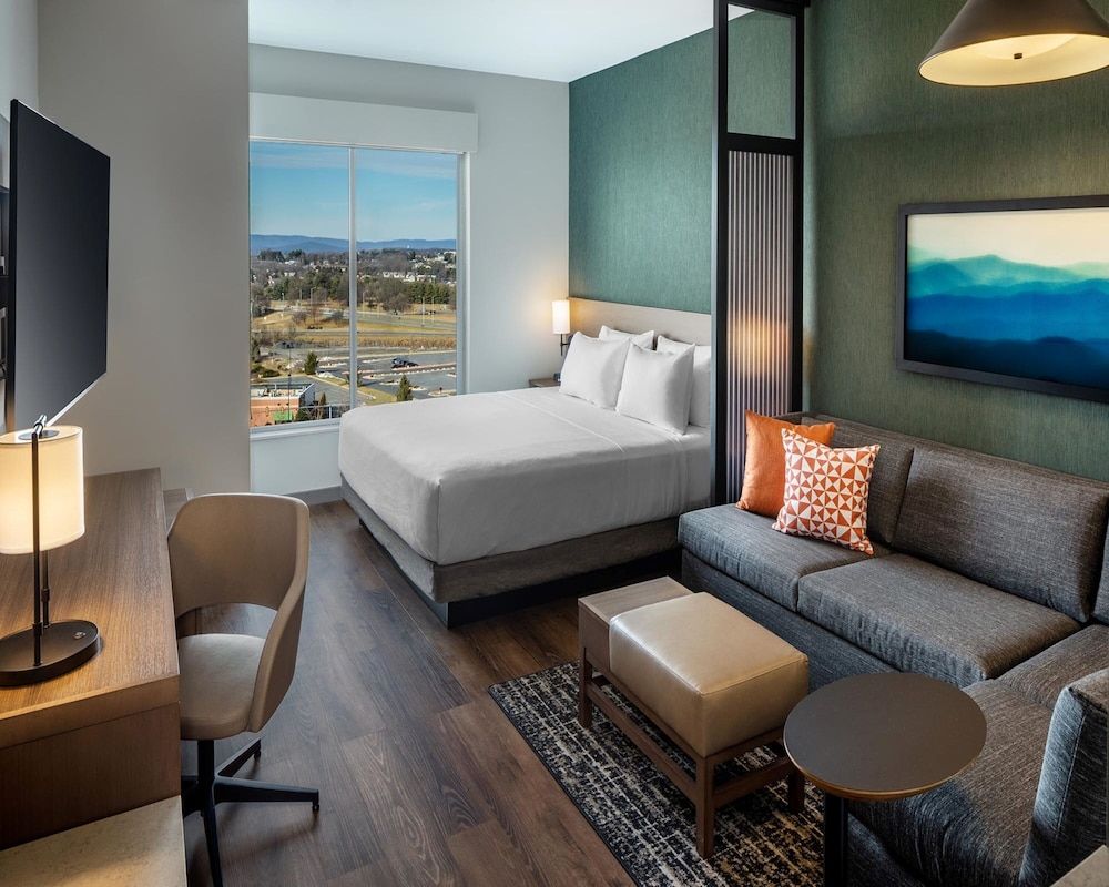 Room, 1 King Bed with Sofa bed, Mountain View