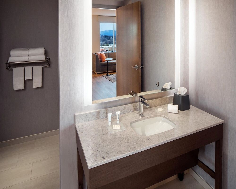 Suite, 1 King Bed with Sofa bed, Accessible (Plus, Roll-In Shower)