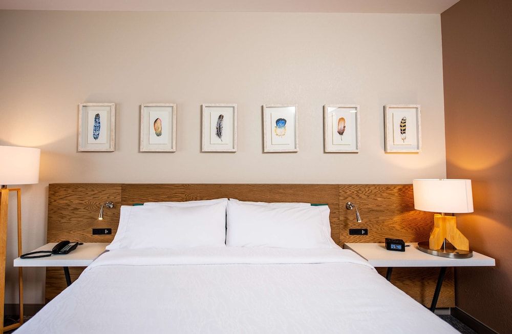 Room, 1 King Bed