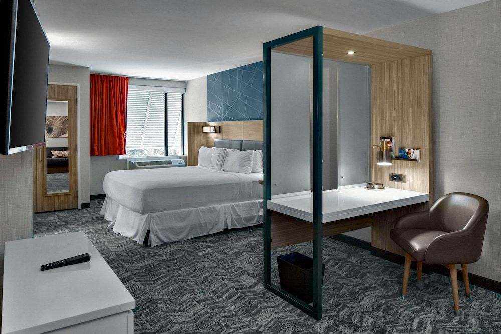 Suite, 1 King Bed (Mobility/Hearing Access, Roll-In Shwr)