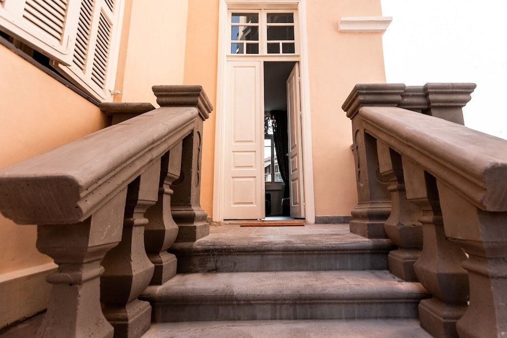 undefined House of Palm 7