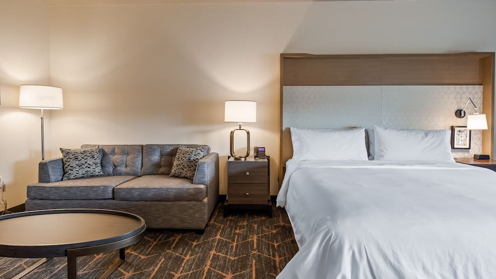 Standard Room, 1 King Bed with Sofa bed