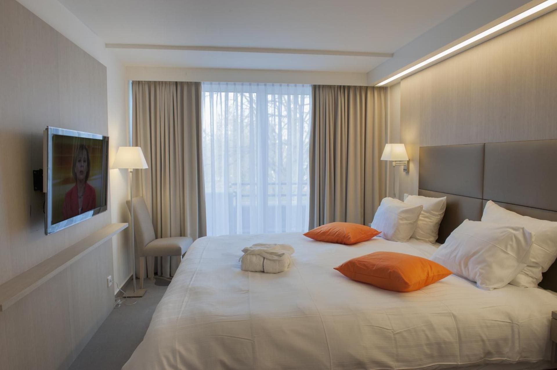 Special Offer - Superior Double Room with Wellness & Fitness Access