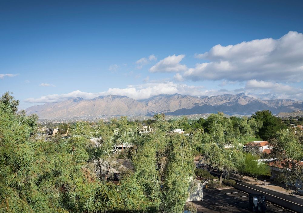 undefined Embassy Suites by Hilton Tucson East 10