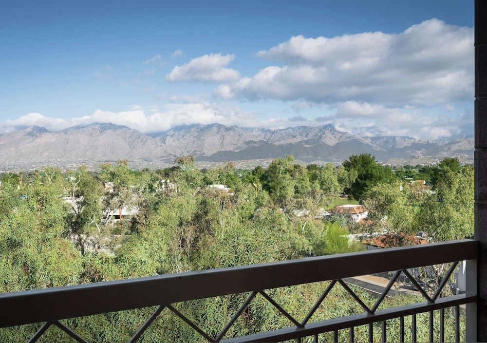 undefined Embassy Suites by Hilton Tucson East 9