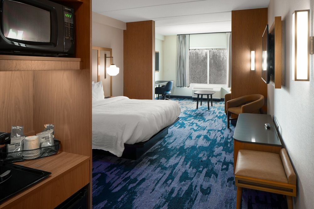 Suite, 1 King Bed with Sofa bed