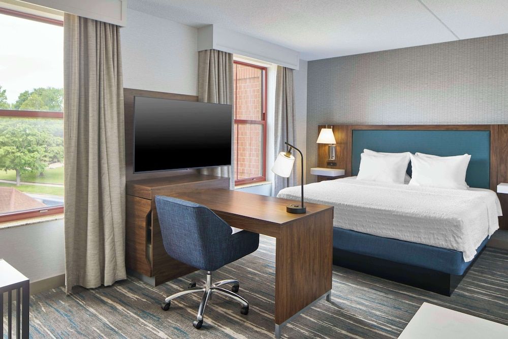 Room, 1 King Bed with Sofa bed, Accessible (Roll-In Shower, Mobility & Hearing)