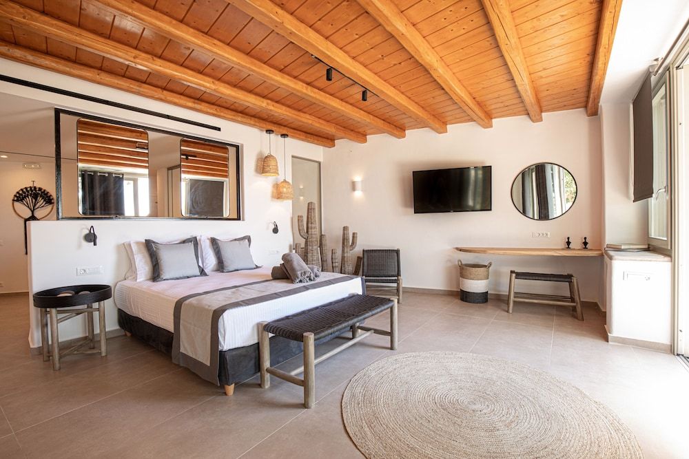 undefined Ikies of Mykonos 5