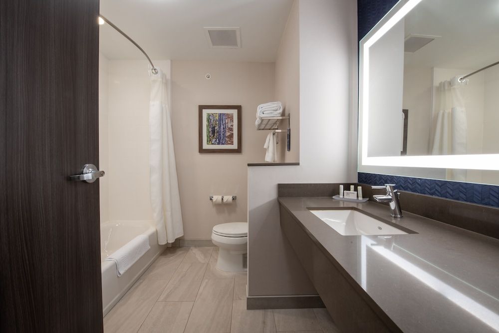 Studio Suite, 1 King Bed with Sofa bed, Non Smoking (Mobility Accessible, Tub)