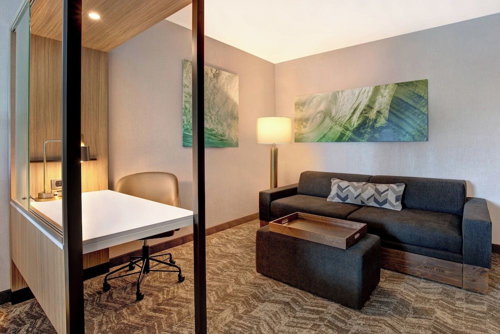 Suite, 1 King Bed with Sofa bed