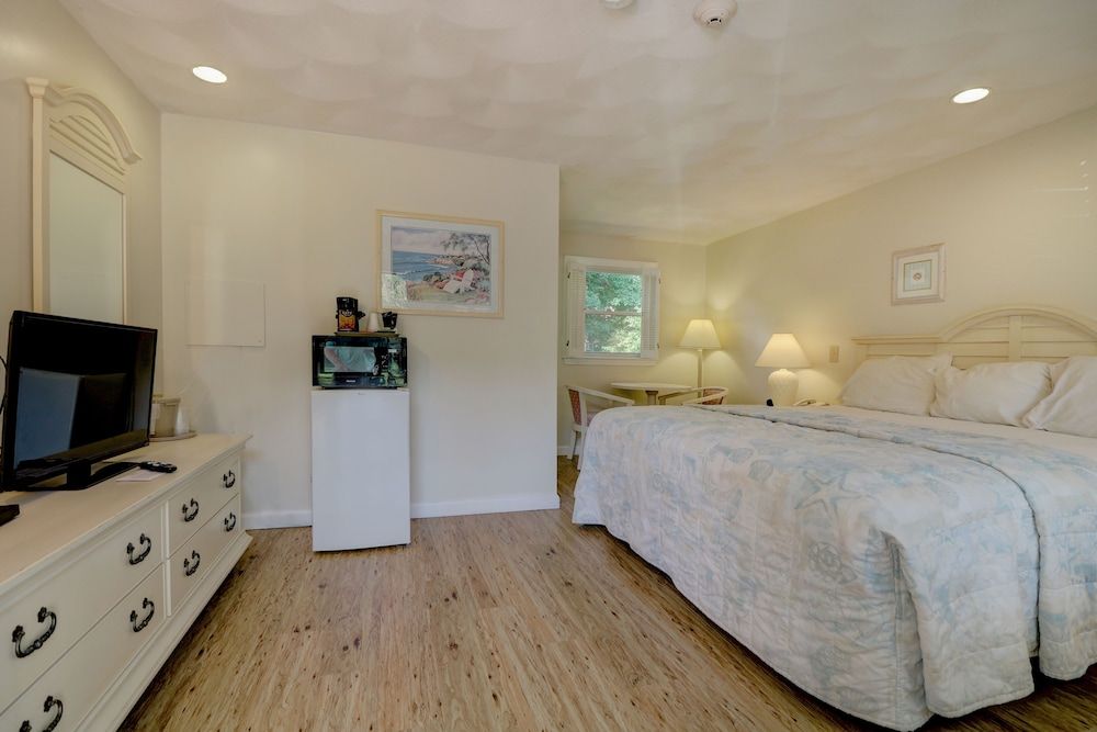 Room, 1 King Bed