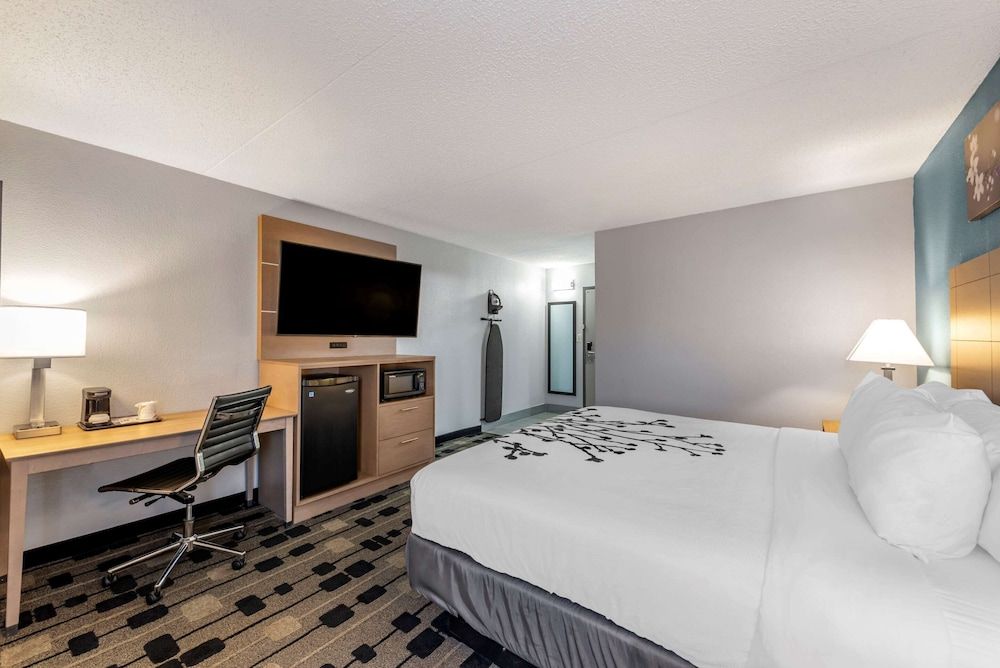 Sleep Inn Terre Haute University Area Standard Room, 1 King Bed, Non Smoking 3