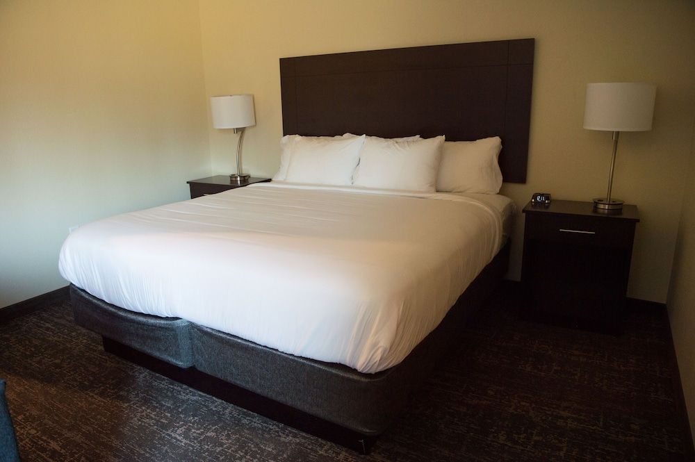 Cobblestone Inn & Suites - Forest City Single King Suite, Accessible Shower, Non Smoking 4